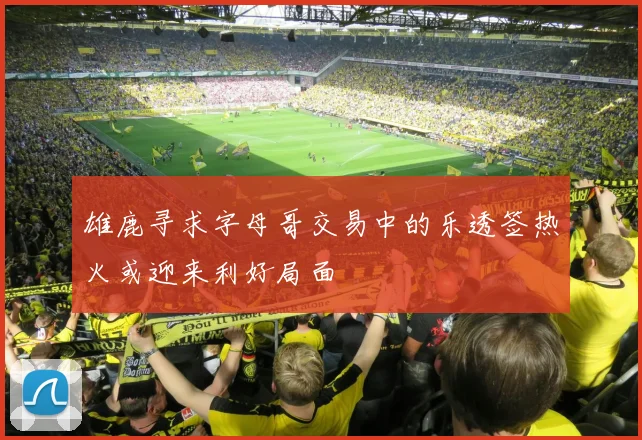 雄鹿寻求字母哥交易中的乐透签热火或迎来利好局面
