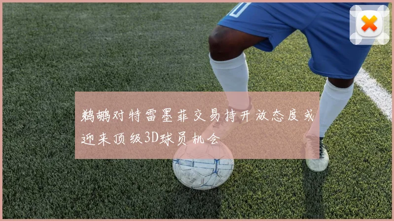 鹈鹕对特雷墨菲交易持开放态度或迎来顶级3D球员机会